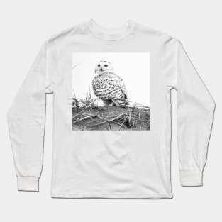 Dune Owl Long Sleeve T-Shirt